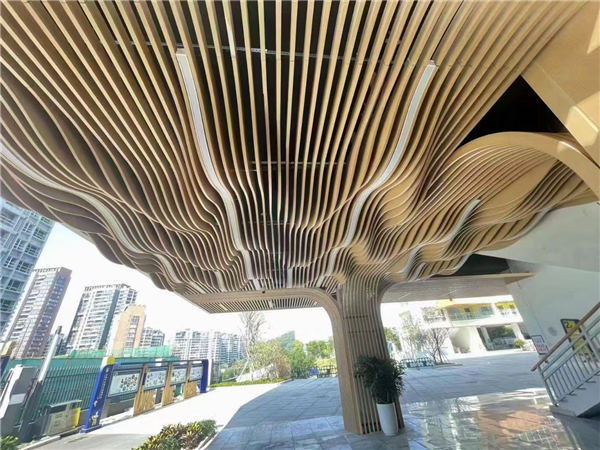 ��������ͨ